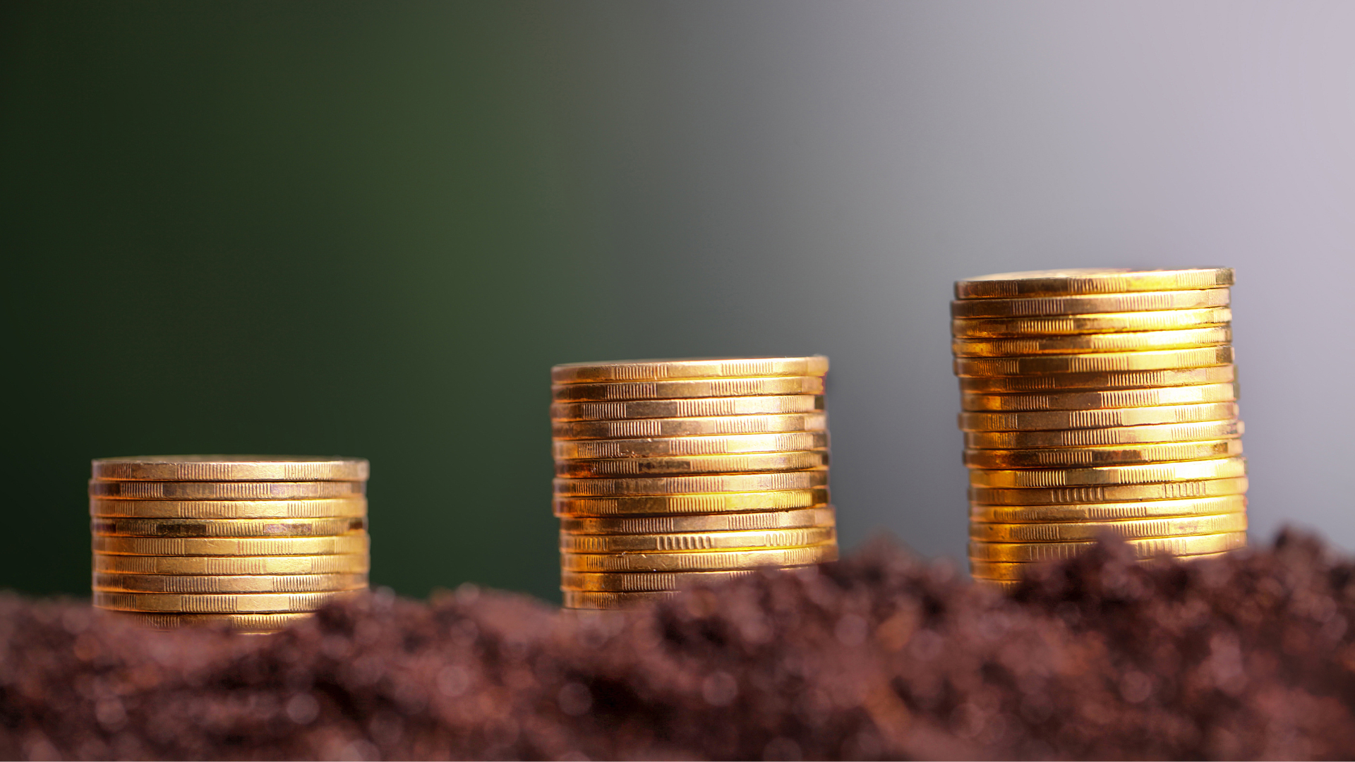 Piles de pièces sur de la tere pour conceptualiser le prix d'une étude de sol